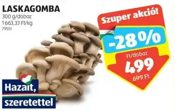 ALDI LASKAGOMBA 300 g ajánlat