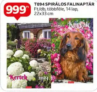 T094 SPIRÁLOS FALINAPTÁR 1 db