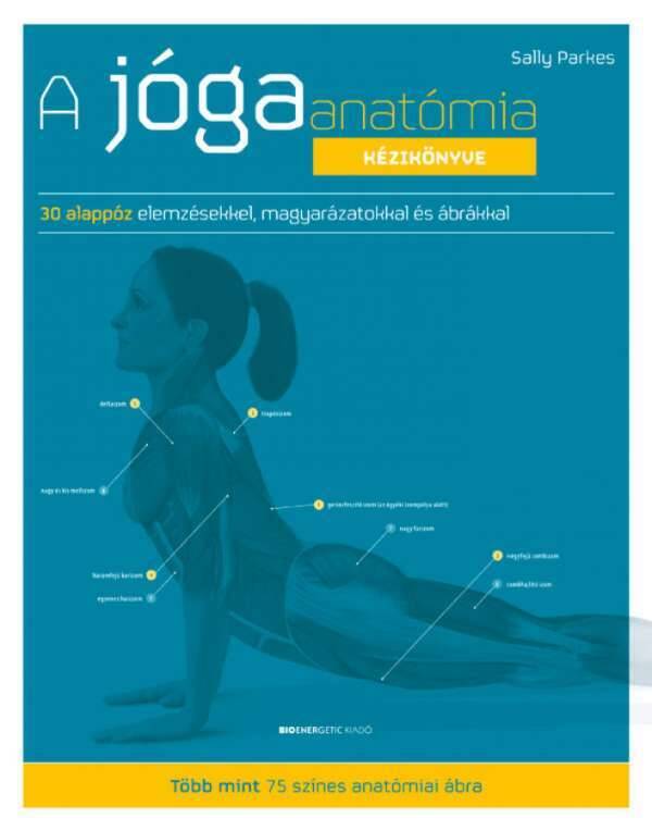 Yoga Bazaar Sally parkes - a jógaanatómia kézikönyve ajánlat
