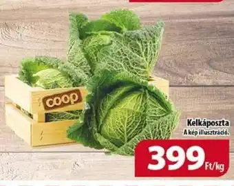 Kelkáposzta 1 kg