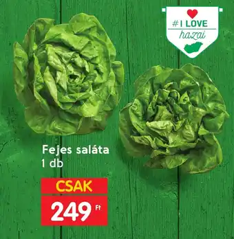 Fejes saláta 1 db