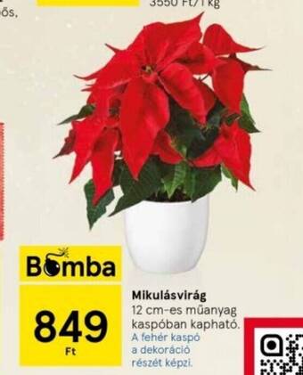 Tesco Mikulásvirág 1 db ajánlat