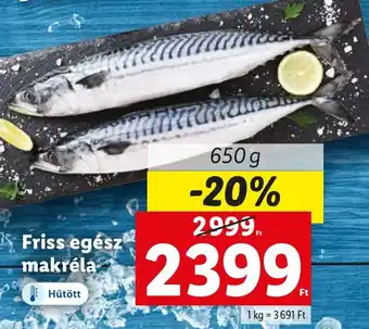 Friss egész makréla 650 g