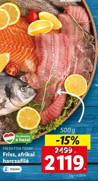 Lidl FRESH FISH TODAY Friss, afrikai harcsafilé 500 g ajánlat