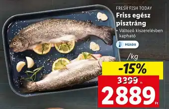 Lidl FRESH FISH TODAY Friss egész pisztráng 1 kg ajánlat