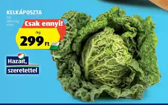 ALDI KELKÁPOSZTA 1 kg ajánlat