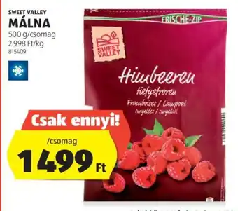 ALDI SWEET VALLEY MÁLNA 500 g ajánlat