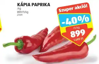 ALDI KÁPIA PAPRIKA 1 kg ajánlat