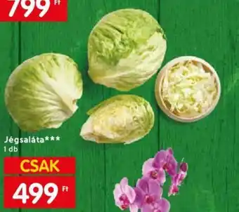 Spar Jégsaláta 1 db ajánlat