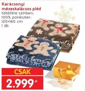 Interspar Karácsonyi mézeskalácsos pléd 120×160 cm ajánlat