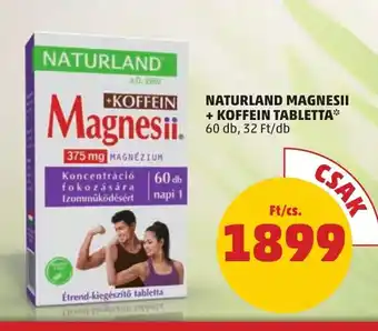 NATURLAND MAGNESII + KOFFEIN TABLETTA 60 db