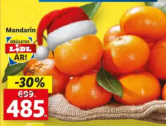Lidl Mandarin 1 kg ajánlat