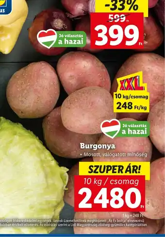 Burgonya 10 kg