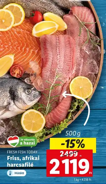 Lidl FRESH FISH TODAY Friss, afrikai harcsafilé 500 g ajánlat