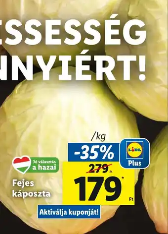 Lidl Fejes káposzta 1kg ajánlat