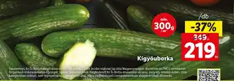 Lidl Kígyóuborka ajánlat