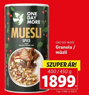 ONE DAY MORE Granola müzli 450g