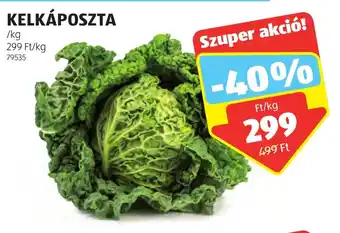KELKÁPOSZTA Ft/kg