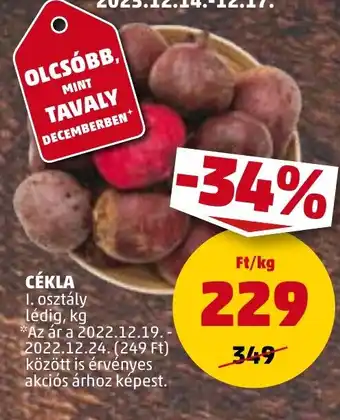 PENNY CÉKLA 1 kg ajánlat