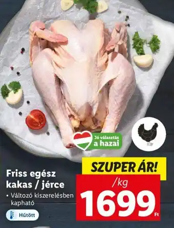 Lidl Friss egész kakas / jérce 1 kg ajánlat