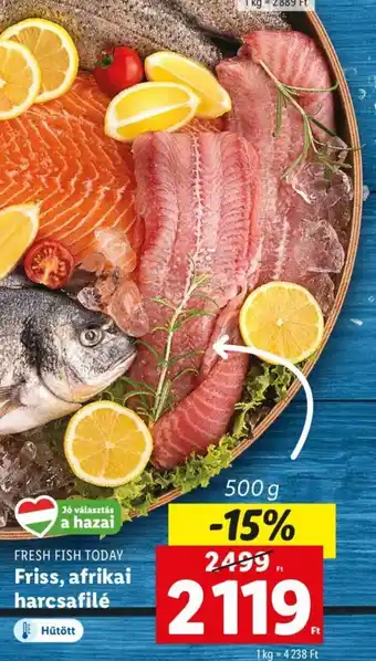 Lidl FRESH FISH TODAY Friss, afrikai harcsafilé 500 g ajánlat