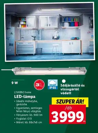 Lidl LIVARNO home LED lámpa ajánlat