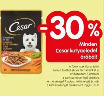 Minden Cesar kutyaeledel árából