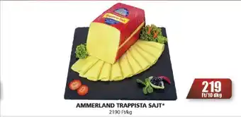 AMMERLAND TRAPPISTA SAJT 10dkg