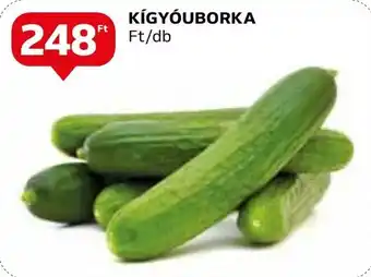 Auchan KÍGYÓUBORKA ajánlat