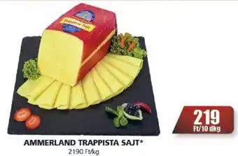 AMMERLAND TRAPPISTA SAJT 10dkg