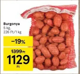 Tesco Burgonya 5 kg ajánlat