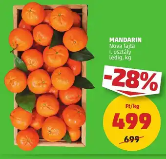 PENNY MANDARIN 1 kg ajánlat