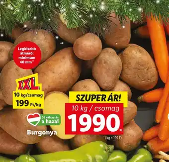 Lidl Burgonya 10 kg ajánlat
