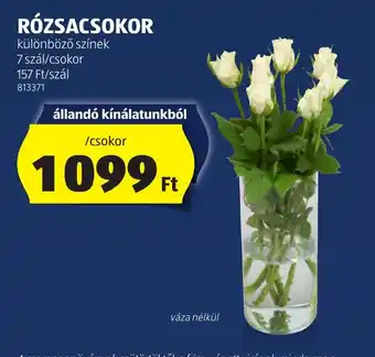 ALDI RÓZSACSOKOR 7 szál ajánlat