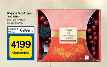 Bogyós fényfüzér 100 LED