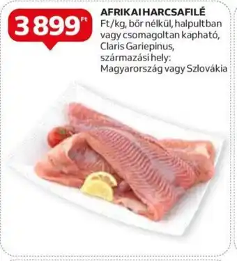 AFRIKAI HARCSAFILÉ 1 kg