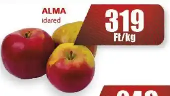 CBA ALMA idared ajánlat