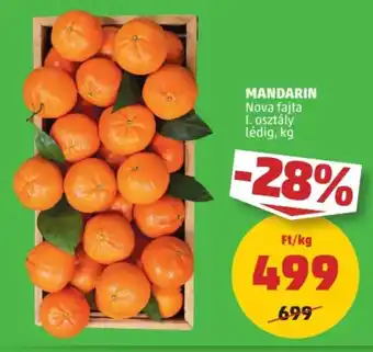 PENNY MANDARIN 1 kg ajánlat