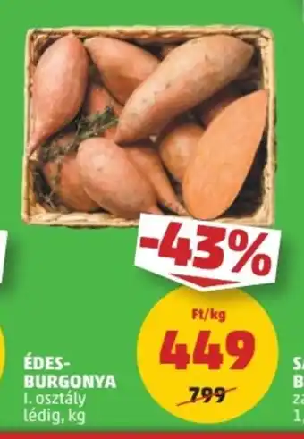 PENNY ÉDES- BURGONYA 1 kg ajánlat