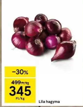 Lila hagyma 1 kg