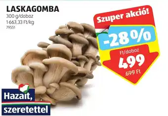 ALDI LASKAGOMBA 300g ajánlat