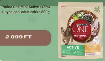 Purina One Mini Active száraz kutyaeledel adult csirke 800g