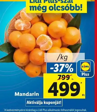 Lidl Mandarin 1 kg ajánlat