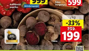 Lidl Cékla 1 kg ajánlat