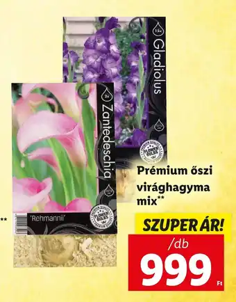 Lidl Prémium őszi virághagyma mix 1 db ajánlat