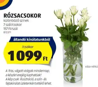 ALDI RÓZSACSOKOR 7 szál ajánlat