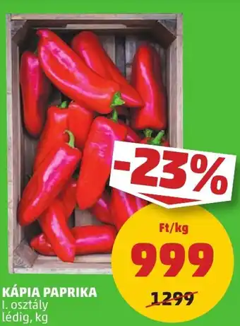 PENNY KÁPIA PAPRIKA 1 kg ajánlat