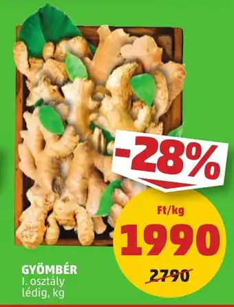 GYÖMBÉR 1 kg
