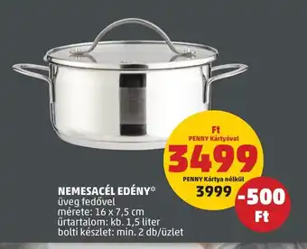 PENNY NEMESACÉL EDÉNY 1 db ajánlat