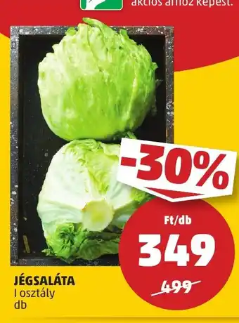JÉGSALÁTA 1 db